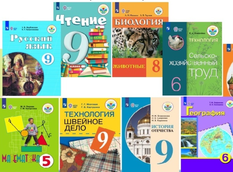 Обеспечение учебниками учащихся средних и старших классов.